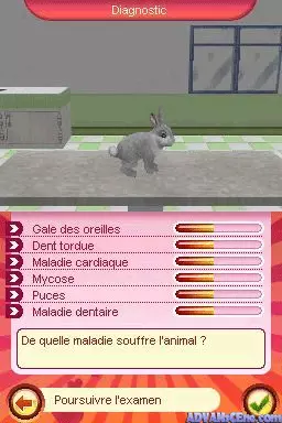 Image n° 3 - screenshots : My Animal Centre